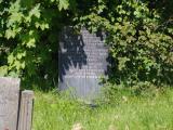 image of grave number 951759